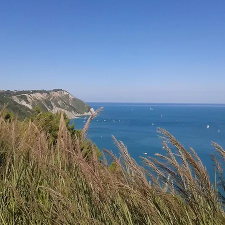 A Stone's Throw From The Sea *